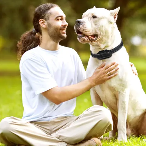 Remote Dog Trainer | Lydighedstræner